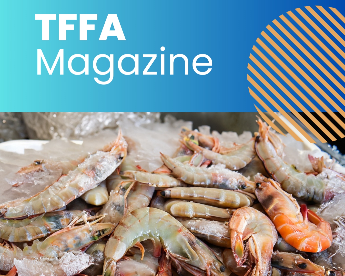  TFFA MAGAZINE ประจำเดือนกันยายน ปี 2565